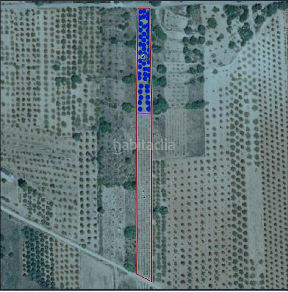Foto 3ffe96b0-d588-4758-bafc-0e9905b7bed4. Finca rústica a Vilafamés