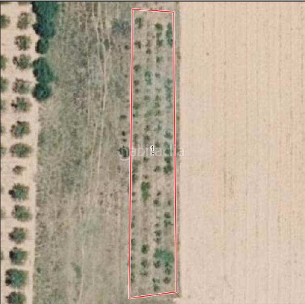 Foto d20fd43f-96b5-423d-bf70-32d3be0c3631. Finca rústica a Vilafamés