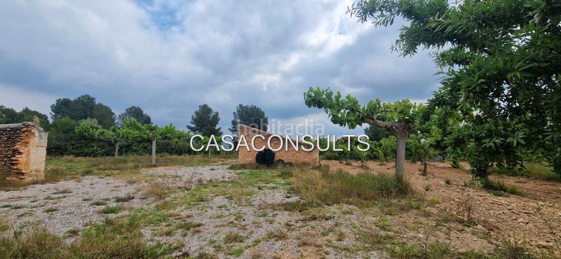 Foto 3afe0f2b-50ab-4321-97c2-856481cbd72e. Mas dans Useres (les)