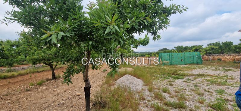 Foto 58a52849-7478-46f4-b239-4882ce4f8088. Mas dans Useres (les)