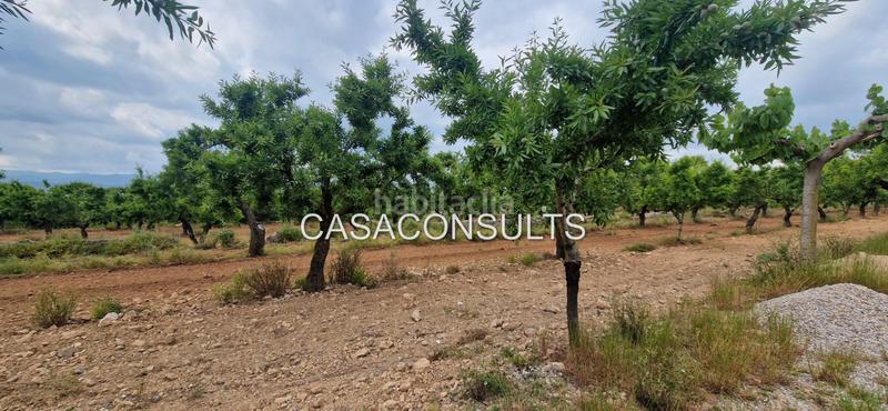 Foto c31e94f8-ce46-4f32-b0cc-bcd4e96cf433. Mas dans Useres (les)