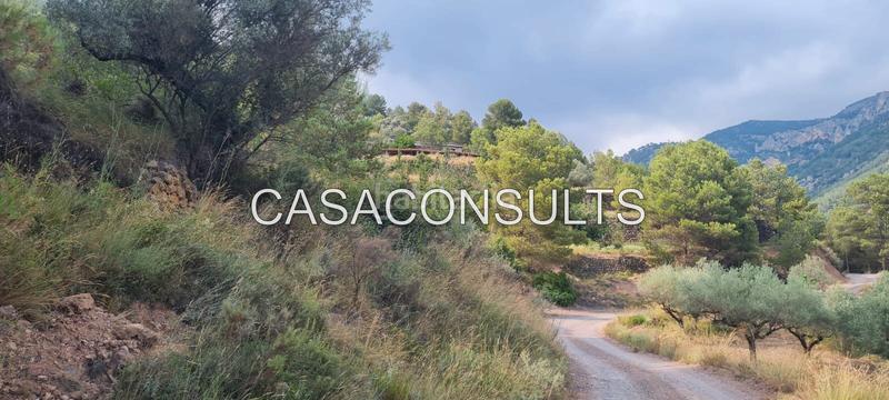 Foto 76e954c4-59cd-4556-bd31-ca36d0925962. Masía en n/a masia cerca del rio en Lucena del Cid