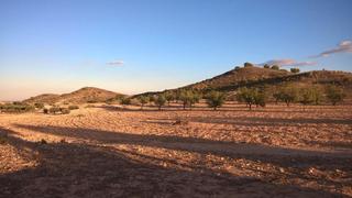 Mas à Alcantarilla. Finca rústica en cañada hermosa zona el pedrusco