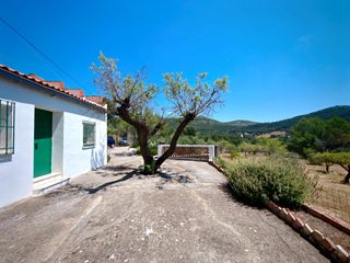 Chalet en Numero 18 53. Chalet en buñol