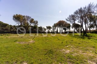 Wohngrundstück in Urbanización La Moraleja. Una hectárea de privacidad en el corazón de la moraleja.