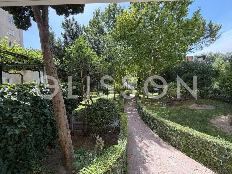 Foto ff165500-38e5-4f36-9de9-b904b5b2a6bc. Pis amb calefacció piscina a San Juan Bautista Madrid
