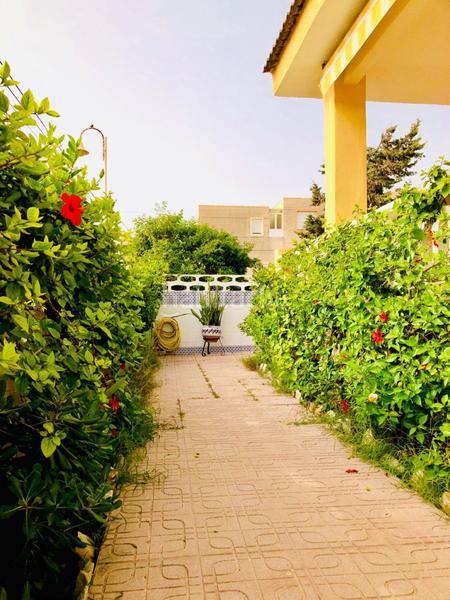 Foto 4df4f492-d6d2-450e-a51d-2b1759889bfa. Xalet amb aparcament piscina a Guardamar Playa Guardamar del Segura