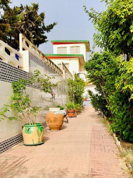 Foto 5e4f3659-c662-4e66-aff1-7998fb7e5b12. Xalet amb aparcament piscina a Guardamar Playa Guardamar del Segura