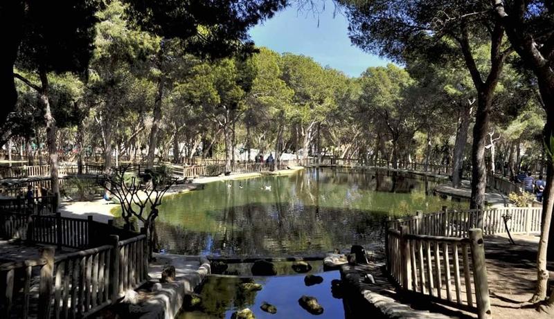 Foto 9733708e-3aa8-46fa-8f9f-394ee094543a. Casa amb aparcament piscina a Los Secanos Guardamar del Segura