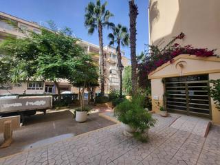 Rent Apartment in Las Viñas. Alquiler planta baja en guardamar del segura con piscina y terra