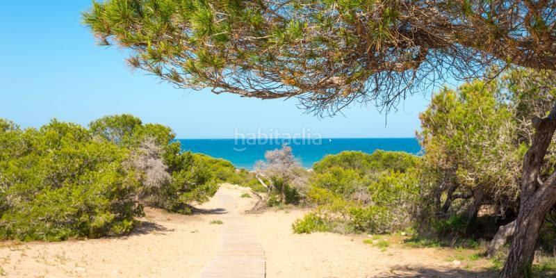 Foto 740e398a-298b-4600-9882-836607fd1c3a. Appartement in gratitud 9 in Pueblo Guardamar del Segura