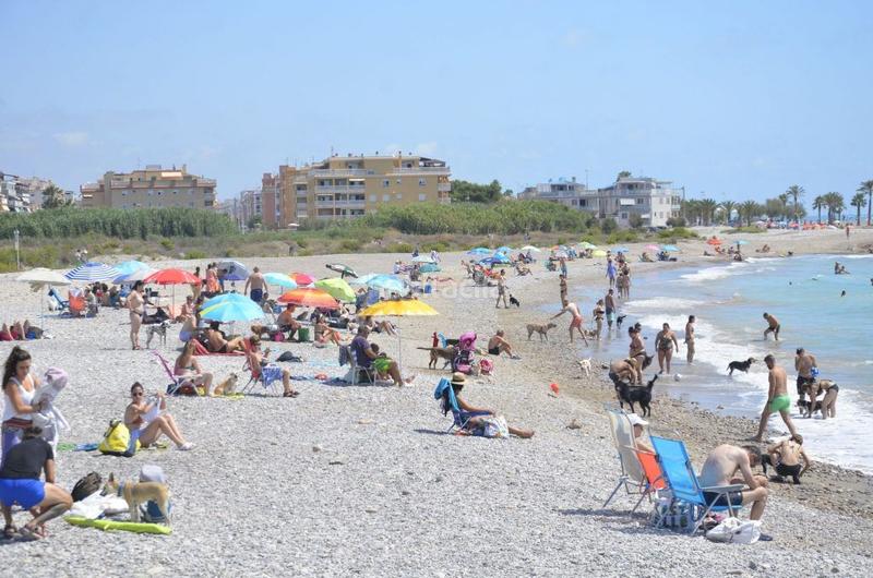 Foto ce06fa91-90dd-428f-b831-ec689bf8244b. Terreno residencial en carrer benidorm 12 r en Moncófar Playa Moncofa