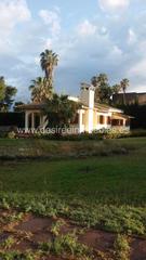 Alquiler Chalet  Avenida santa apolonia. El vedat