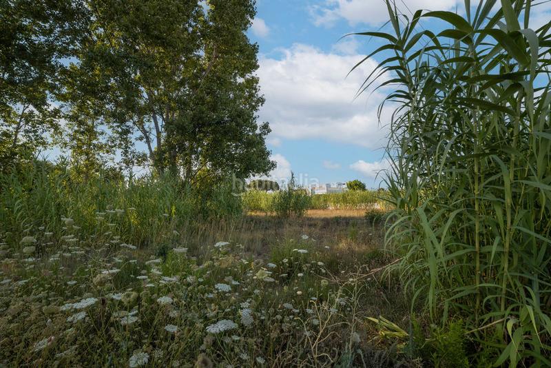 Foto 08df04c0-f52f-4bb3-bd62-8a5a13993f9d. Wohngrundstück in carrer riu de la sénia 51 in Devessa - Monte Pego Dénia