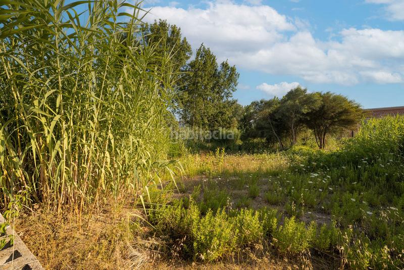 Foto 59bbee2a-06a5-4bd8-a44c-acd6b0e4a77a. Wohngrundstück in carrer riu de la sénia 51 in Devessa - Monte Pego Dénia