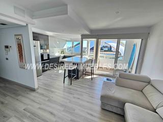 Pis  Avinguda del professor lpez piero. Avenida profesor lopez piero