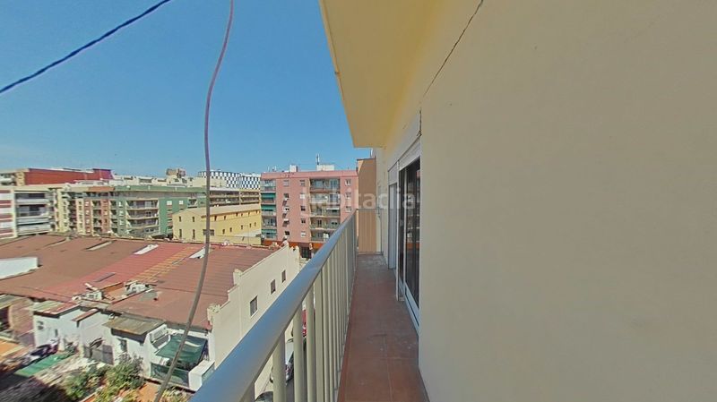 Foto 34cf0b97-eb80-45de-a874-e6000d2a1a21. Pis a Malva Rosa Valencia