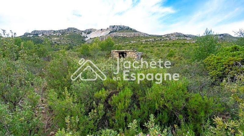 Foto 9f653614-dab8-45a1-a4b9-a5a228414541. Fondo rustico in Canet lo Roig
