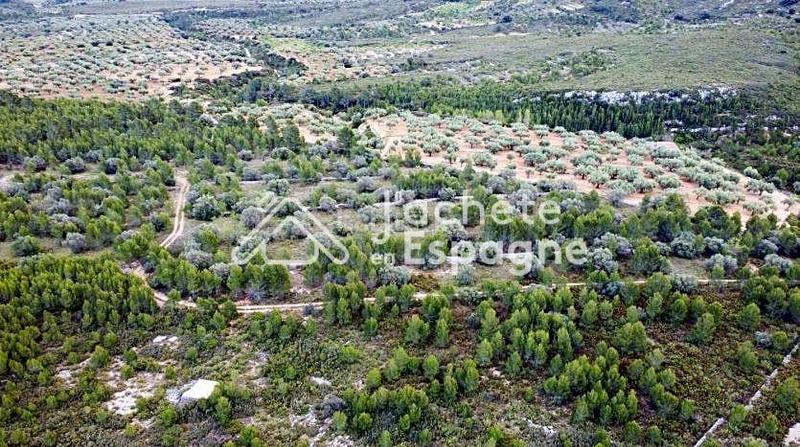 Foto bd780800-c955-430b-b037-4b64e91fd543. Fondo rustico in Canet lo Roig