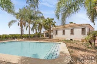 Casa  1. Una joya arquitectónica de una planta entre mandarinos
