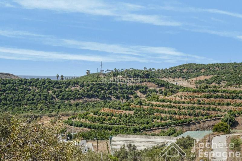 Foto 2065bf36-093e-4fda-8150-03885de5648e. Terreny residencial a Almayate Bajo