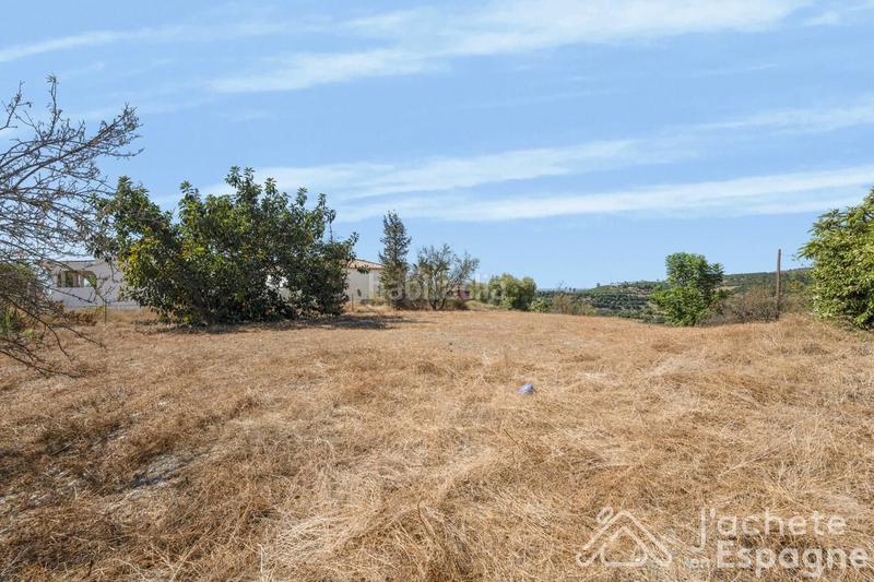 Foto 6f383bb2-ace7-4f25-a60f-5c5eec54b4f6. Terreny residencial a Almayate Bajo