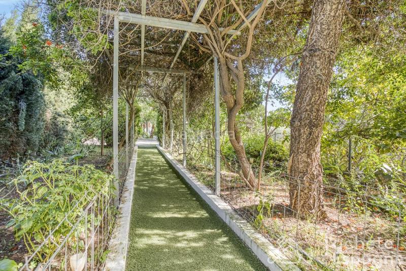 Foto 741cf6bd-d889-40c7-85b1-83295395d0bb. Masia amb calefacció aparcament a Alfara de Algimia