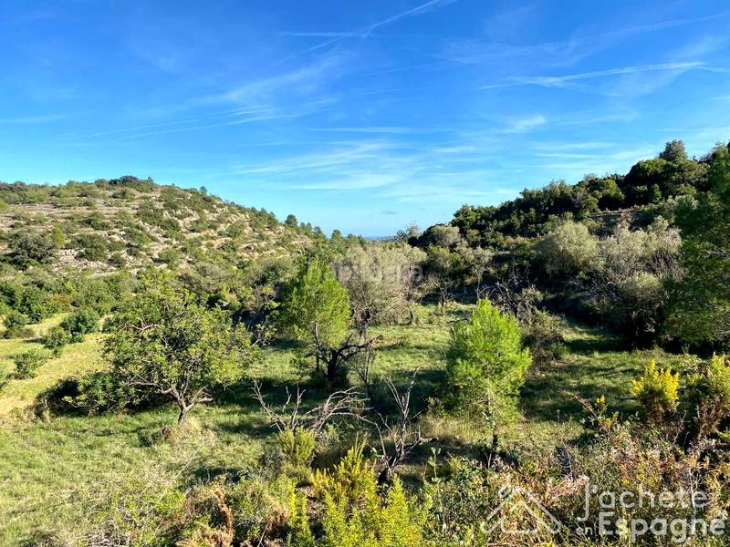 Foto 006d1e30-212f-458b-8789-0bb5dff9df90. Terreny residencial a Cervera del Maestre