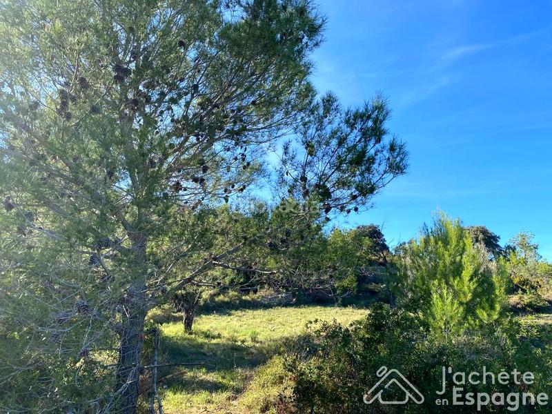Foto 09403ad9-22b5-47cf-b8d3-0cb94a7bafeb. Terreny residencial a Cervera del Maestre