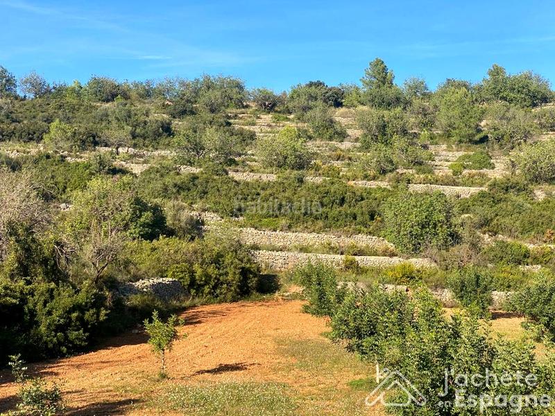 Foto 1a085408-e6bd-4c93-b0e9-e7cd0d2b079c. Terreny residencial a Cervera del Maestre