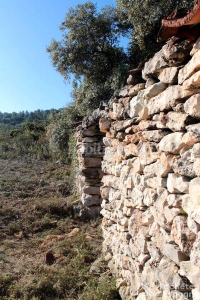 Foto 246f744c-f409-440f-ac16-bba95e5f8ade. Terreny residencial a Cervera del Maestre