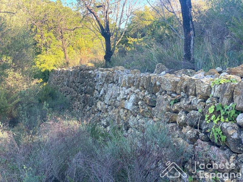 Foto 470def5e-fa68-4959-97de-74ecdd6b3614. Terreny residencial a Cervera del Maestre