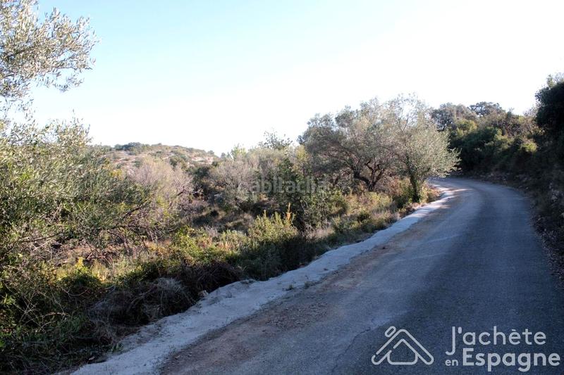 Foto 64f09847-9c8e-4f97-be13-0d7dfe7a260e. Terreny residencial a Cervera del Maestre