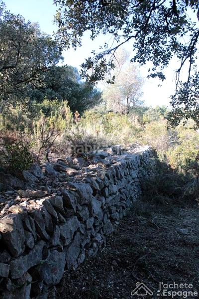 Foto 6a22707a-1cc3-450f-a3f5-c452766f0ea3. Terreny residencial a Cervera del Maestre