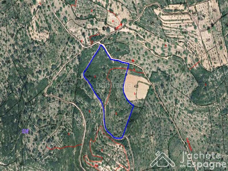 Foto 6b404628-ec02-438c-8bbf-5c04de54c593. Terreny residencial a Cervera del Maestre