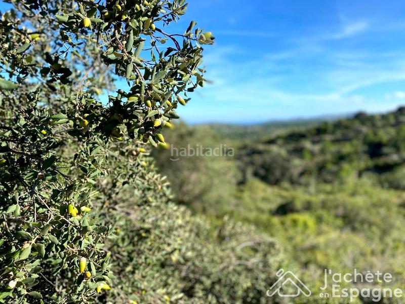 Foto 78eb2286-79dc-41bd-af2c-dbbf42be76a5. Terreny residencial a Cervera del Maestre