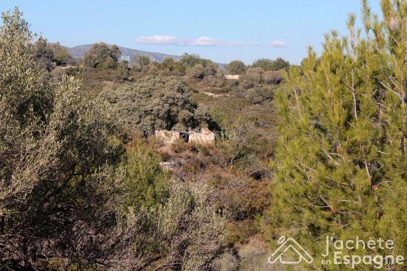 Foto 7d1ff6cb-5ac4-4c66-9d4f-d00f8f3c8f1b. Terreny residencial a Cervera del Maestre