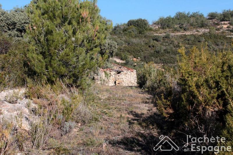 Foto 86e70fc7-ac2b-401e-ab62-025518191e65. Terreny residencial a Cervera del Maestre