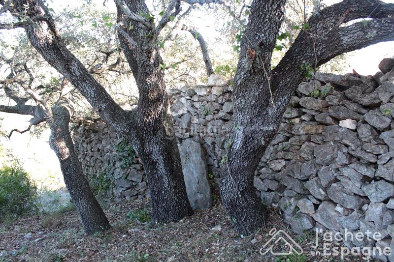 Foto 94e1be33-1e46-4d58-bc4a-0e23772e2c01. Terreny residencial a Cervera del Maestre