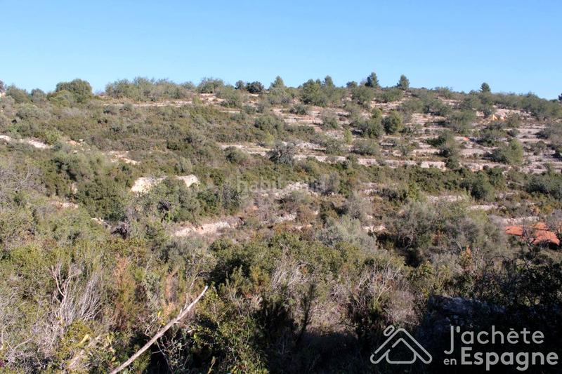 Foto 967dc5ad-3688-43a6-8b64-482ba1fa75dd. Terreny residencial a Cervera del Maestre