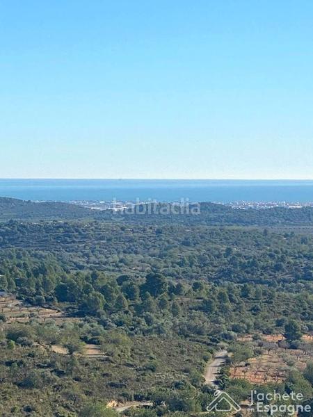 Foto 9d21daf3-0b57-4cf4-808c-f9f5d441c4f7. Terreny residencial a Cervera del Maestre