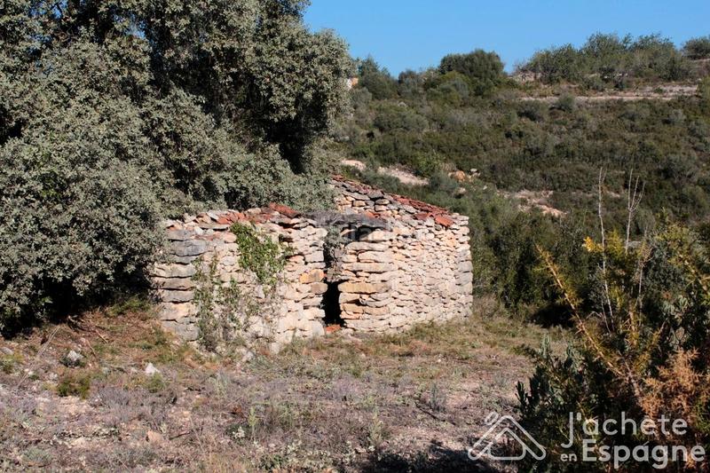Foto 9da55bca-4de5-445e-84d4-4ec288792187. Terreny residencial a Cervera del Maestre