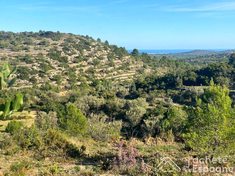 Foto b4f7b17f-32fa-4d09-a536-5e3466dcfe85. Terreny residencial a Cervera del Maestre