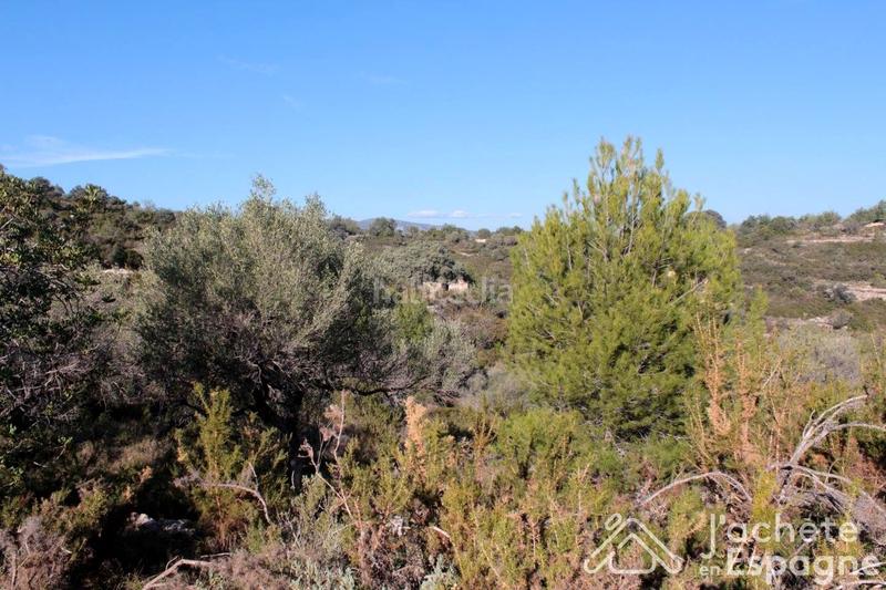 Foto b5052c27-7db9-49a4-868c-a3c08709f18c. Terreny residencial a Cervera del Maestre