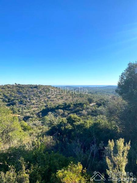 Foto be390703-a070-40f4-8082-7500ef388158. Terreny residencial a Cervera del Maestre