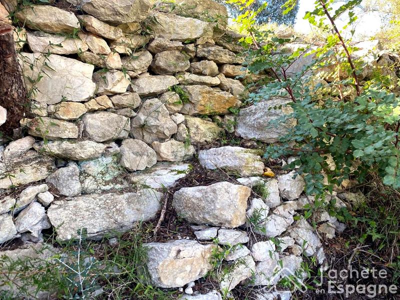 Foto c24ddb84-98b9-42da-b015-32cf47386146. Terreny residencial a Cervera del Maestre