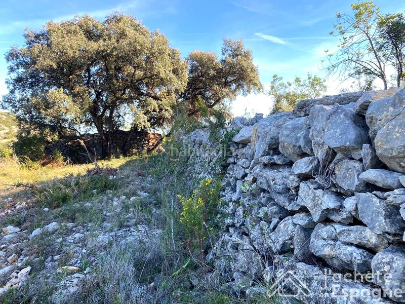 Foto c59cd982-9fbc-4576-8fc9-b7d16974417b. Terreny residencial a Cervera del Maestre