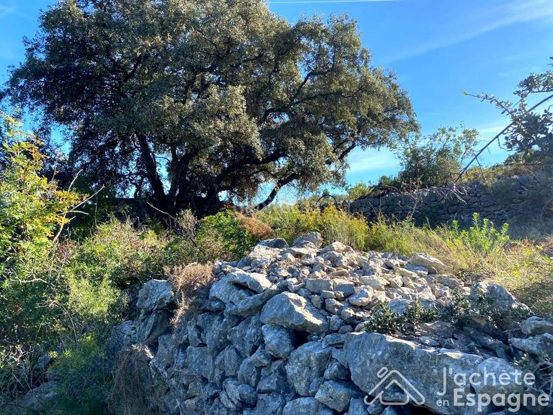 Foto d115f126-9198-47ad-8504-07d7bb71bb58. Terreny residencial a Cervera del Maestre