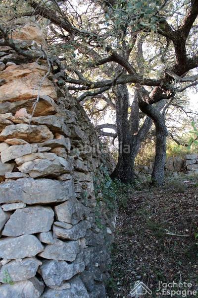 Foto d5c460bd-3e02-4ba1-a0fa-c61b71684faa. Terreny residencial a Cervera del Maestre