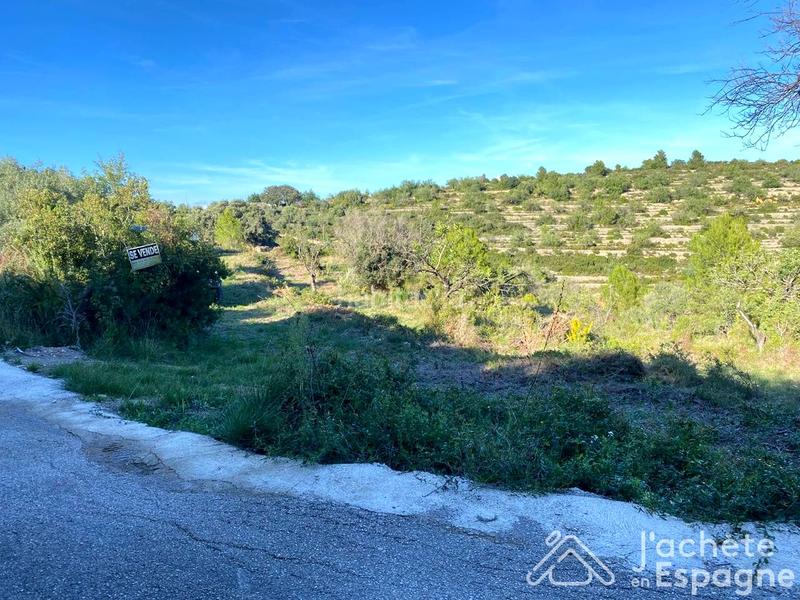 Foto db2f6f0f-7a27-469c-85a5-cc3dbf7034a9. Terreny residencial a Cervera del Maestre